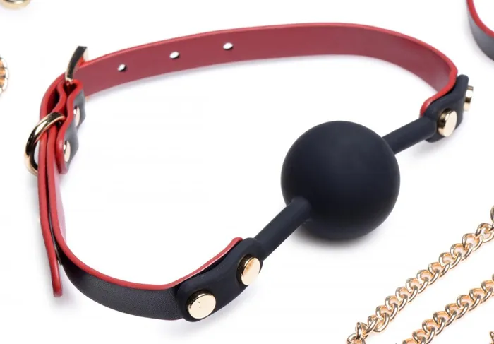 Black and Red Bow Bondage Set with Carry Case Master Series Restraints